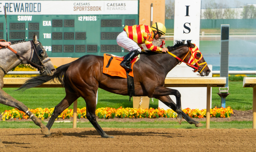 How a Typical Horse Race Works