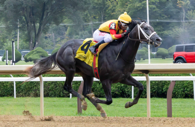 How Art Captures the Spirit of Racing