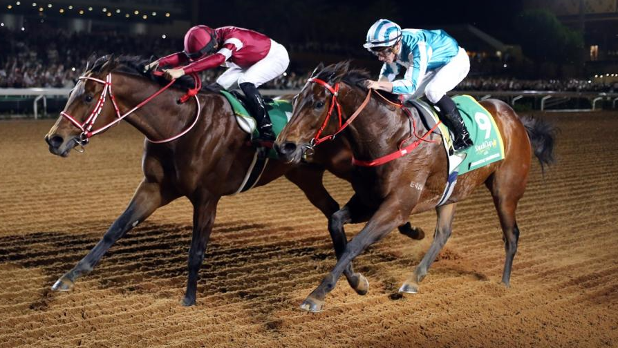 Horses Who Changed the Sport Forever