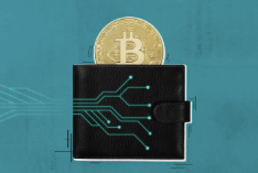 Top Crypto Wallets Compared