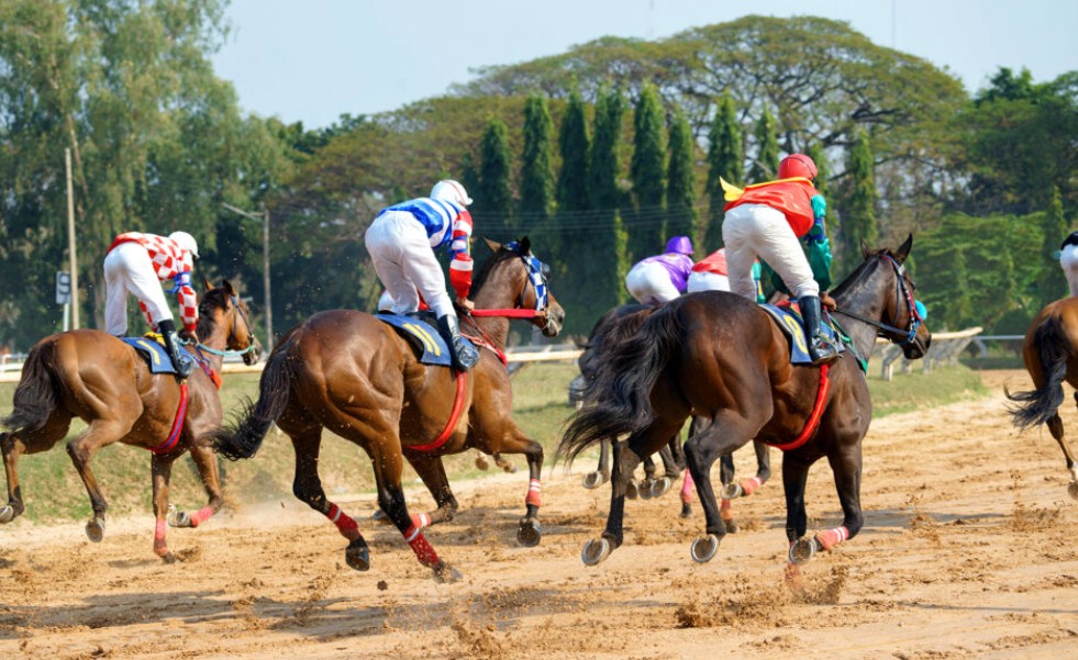 turf logique || prono logique || pronologique || pronostic logique || logique turf